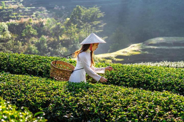 Cô giáo mầm non và hành trình 