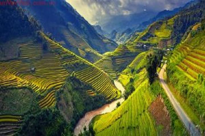 Gỗ và Video: Kết nối nghệ thuật truyền thống với công nghệ hiện đại