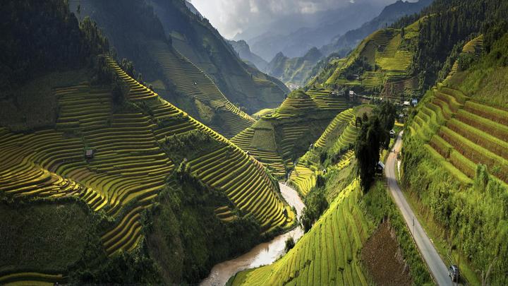Xu hướng Con gái 