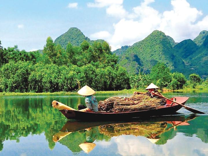 Tiêu đề: Gen Z: Lựa chọn sống 