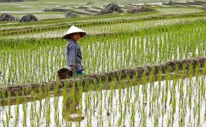 Cô giáo mầm non và hành trình 