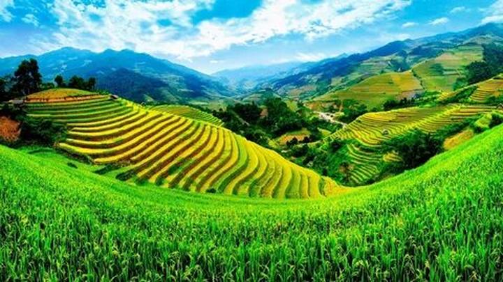 Từ 4 loại cây dụ rắn bò vào nhà, đến chiến lược content: Hotspot Matrix chia sẻ